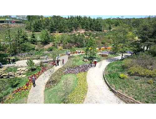 县级道路绿化工程