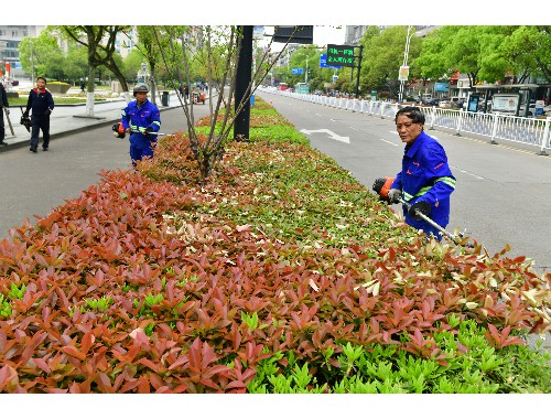 新郑节能园林绿化工程价位